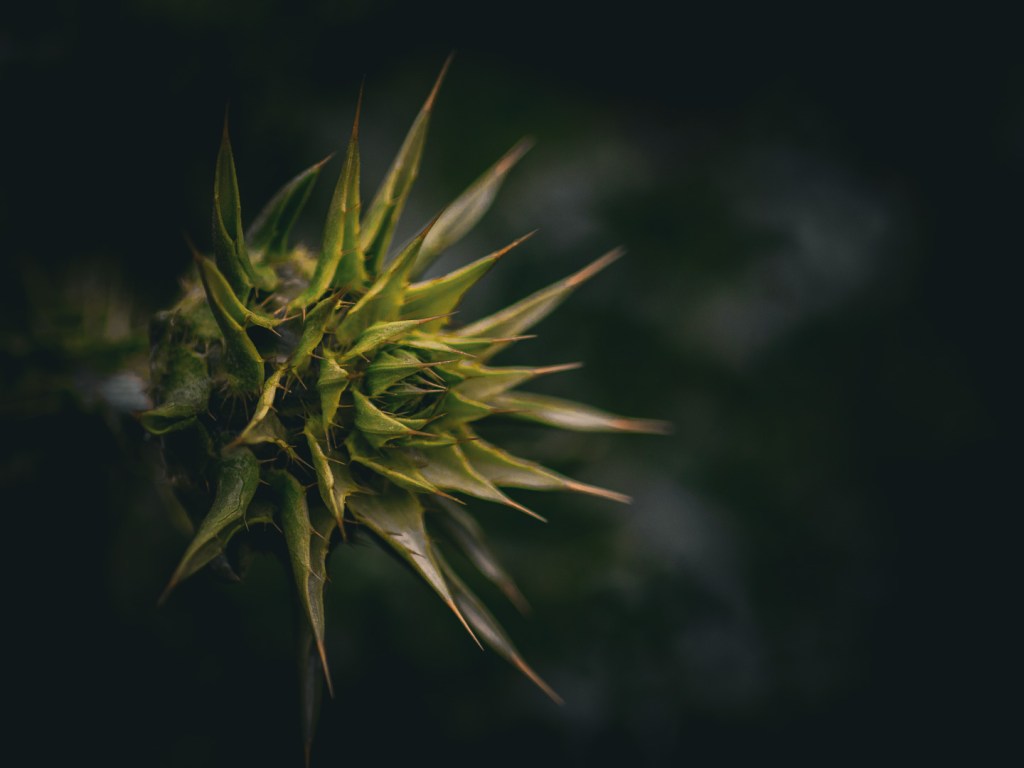 Cecilia Nyberg, fotograf i Eskilstuna