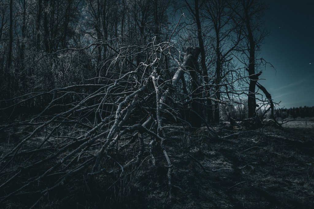 Fotograf Cecilia Nyberg Eskilstuna