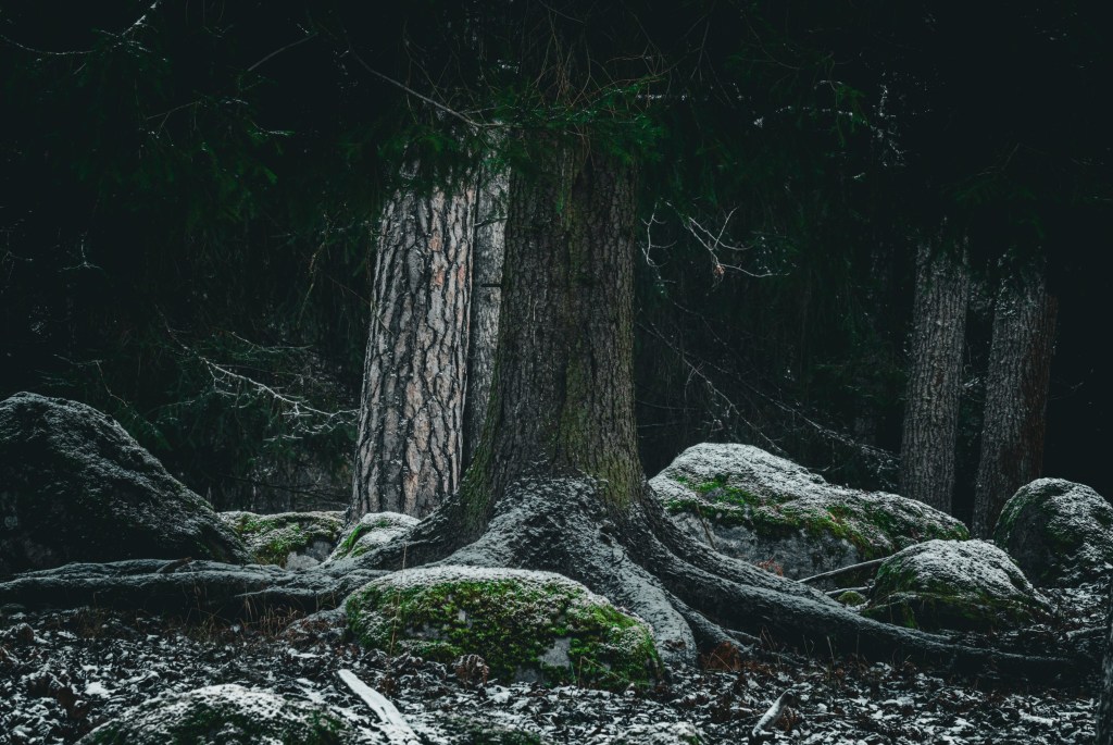 Fotograf Cecilia Nyberg Eskilstuna