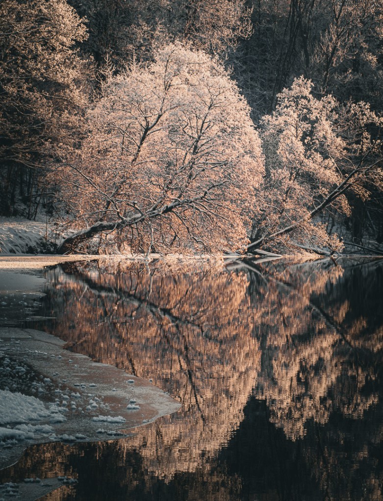 Cecilia Nyberg, fotograf i Eskilstuna
