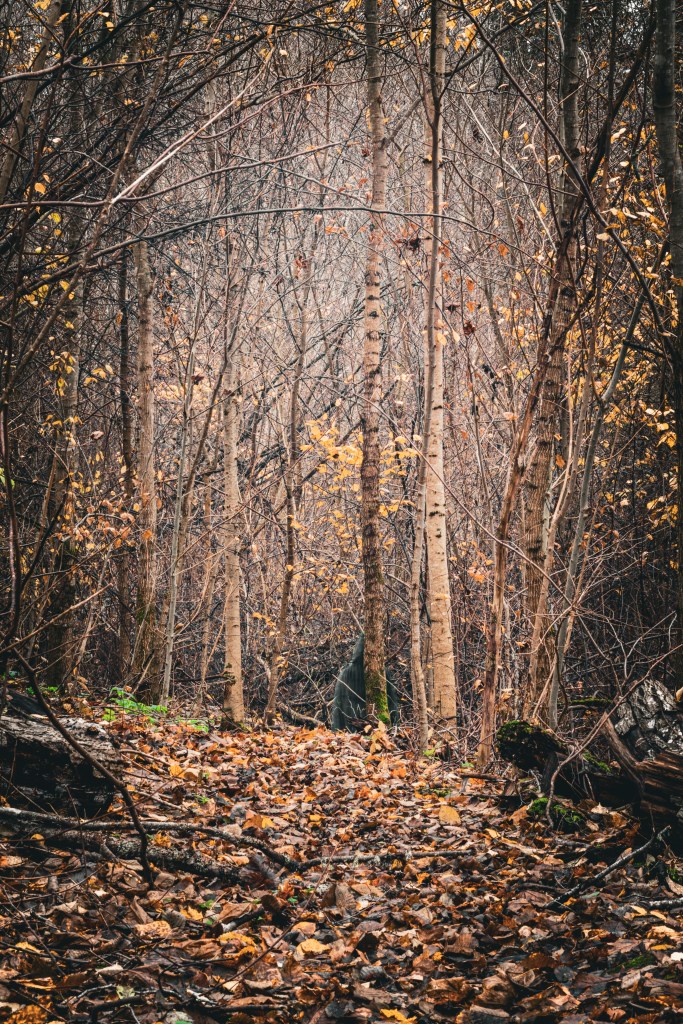 Cecilia Nyberg, fotograf i Eskilstuna