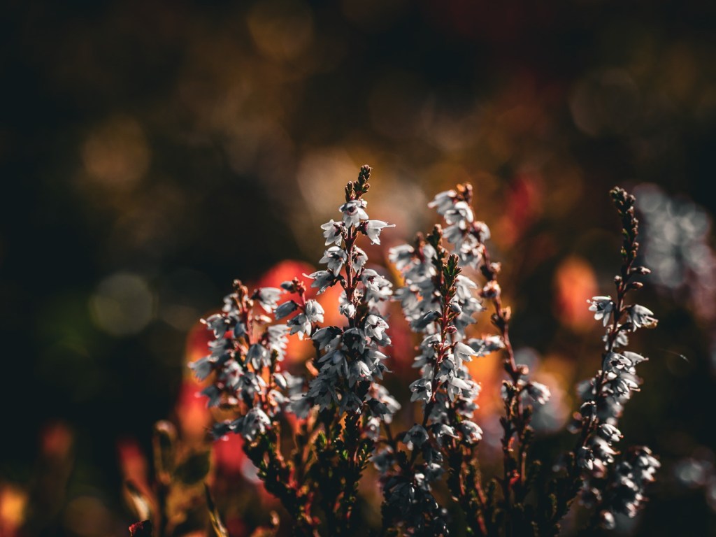 Cecilia Nyberg, fotograf i Eskilstuna