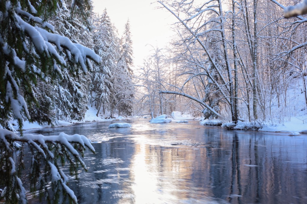 Fantastisk dag att vara ute och&nbsp;fotografera❄️