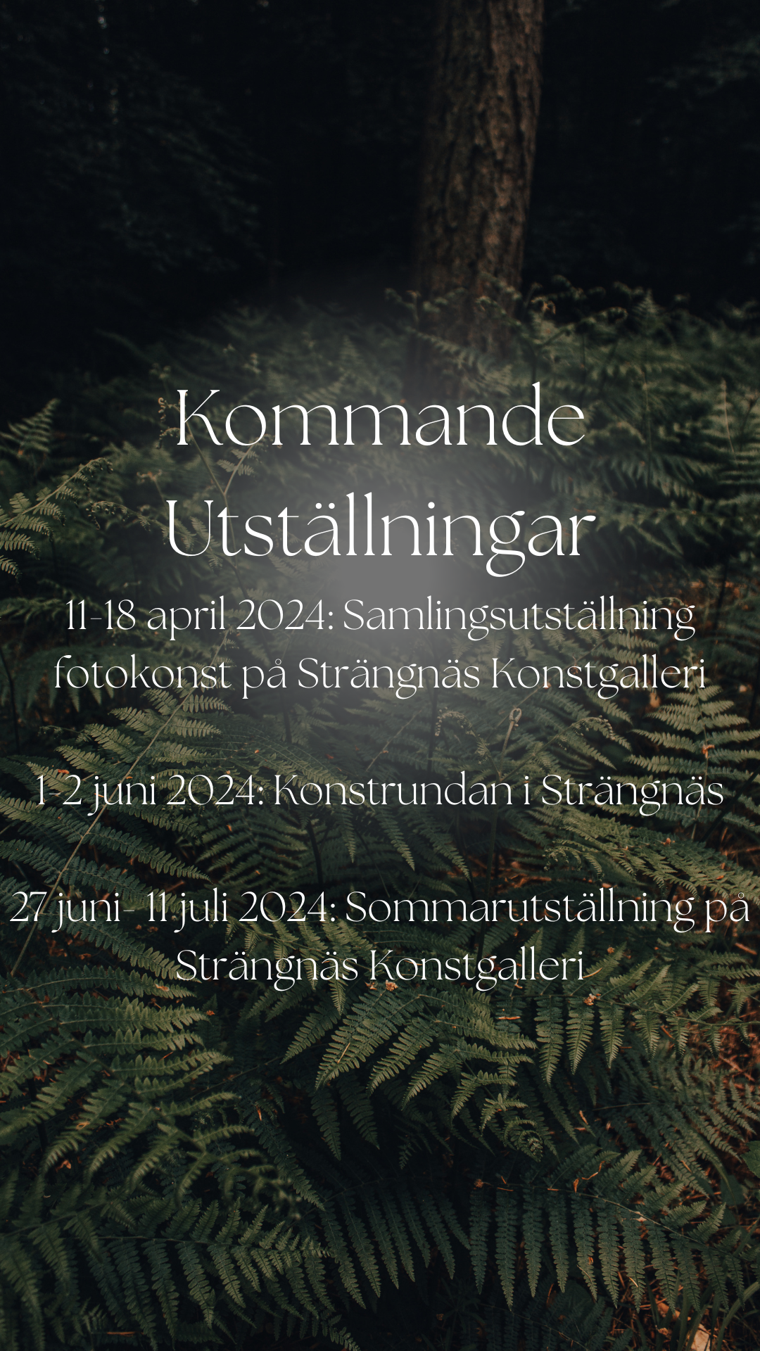Utställningar i vår och sommar