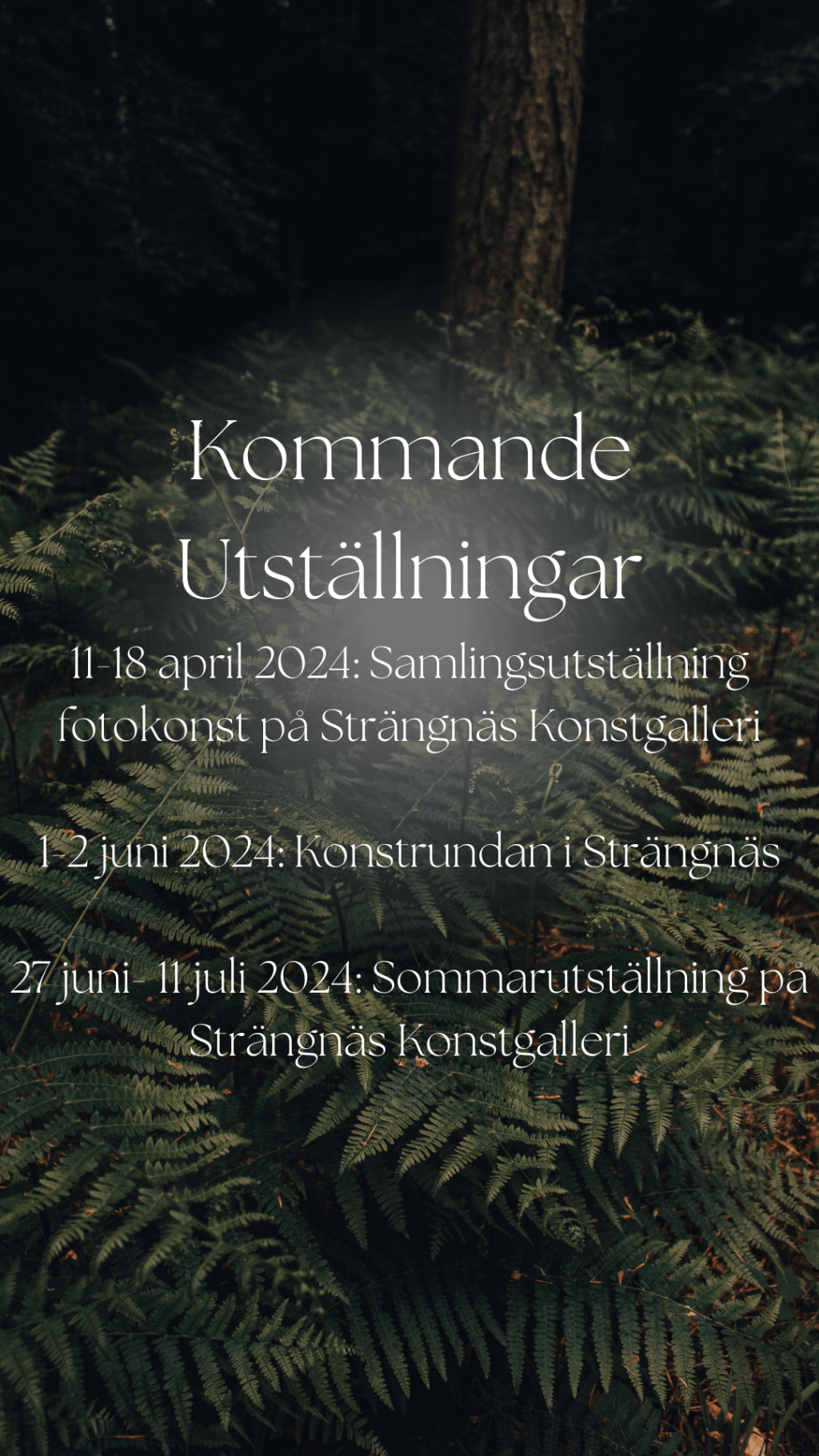 Utställningar i vår och&nbsp;sommar