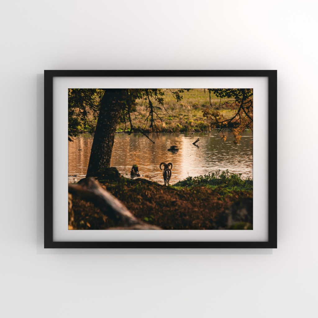 Ett ögonblick av stillhet Cecilia Nyberg fotograf Eskilstuna fine art