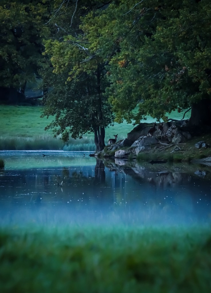 Fine art fotograf Cecilia Nyberg Eskilstuna