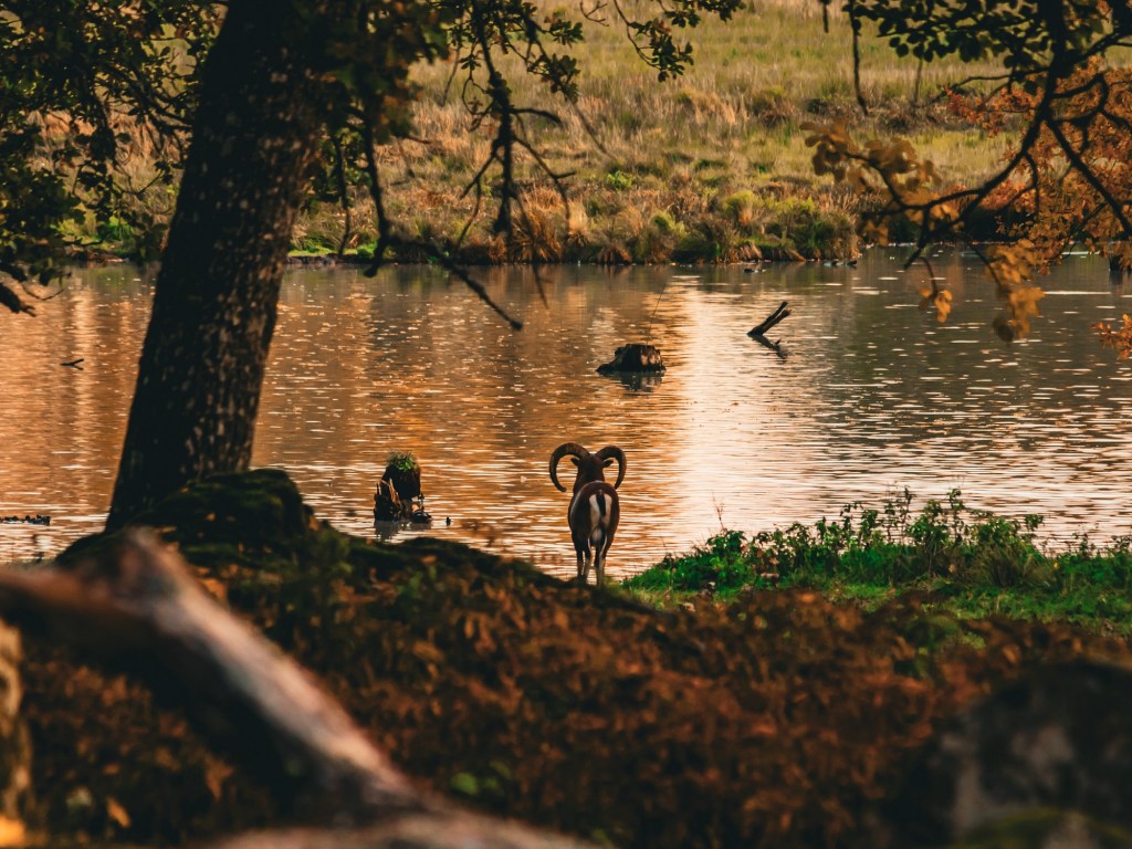 Fine art fotograf Cecilia Nyberg Eskilstuna