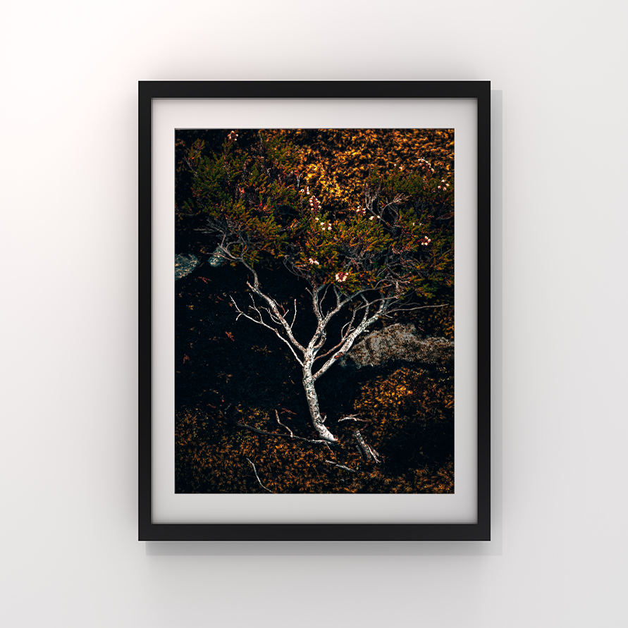 Fine art fotograf Cecilia Nyberg Eskilstuna