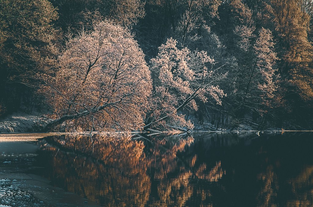 100 foton under 100&nbsp;dagar