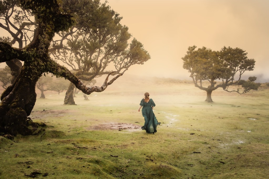 Utställning med Eskilstuna&nbsp;fotoklubb